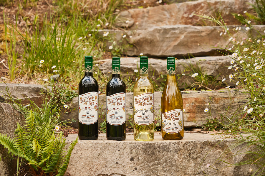 Our Daily Wines Collection in an outdoor setting